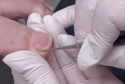 c57c6-6a0d13d6c3dcd-935ce6383489356e36904c125cd33e8be01c408b.gif