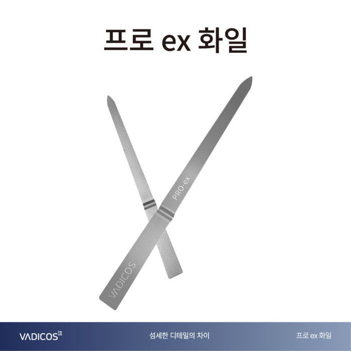 프로 - ex화일